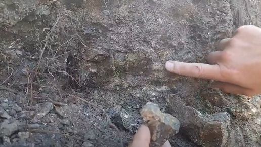 Откриха цяла кост от динозавър край Трън