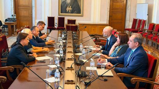 ДПС запознаха ОССЕ с позицията си за изборните правила и законодателство