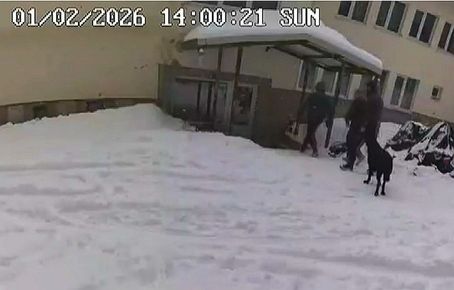 Разследването продължава, но полицията ще свали охраната около хижа „Петрохан“