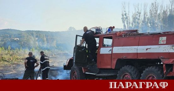 Голям пожар избухна в землището на харманлийското село Рогозиново Огънят ...
