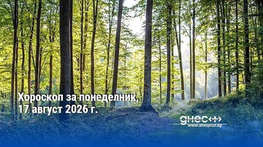 ОвенСклонни сте да се бунтувате и да нарушавате правилата и ...