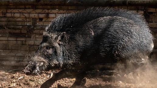 Пътят между бургаския квартал Крайморие и село Маринка е затворен ...