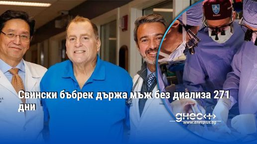 Генетично модифицираният бъбрек е използван като мост до намирането на ...