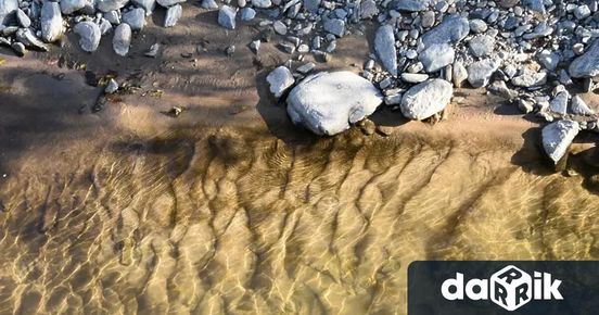 Световният ден за мониторинг на водата се отбелязва от 2002 ...