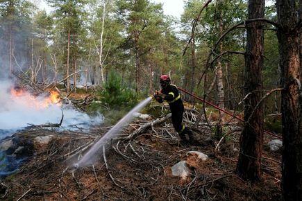 Арестуваха мъж за опит за палеж в Булонския лес край Париж след пожарите във Фонтенбло