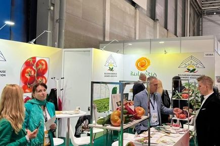 Български производители търсят нови доставки на Fruit Attraction 2026 в Мадрид