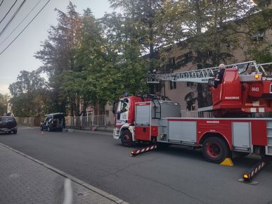 Пчелари от кв. „Грамада“ и РДПБЗН помогнаха за безопасното преместване на рояк пчели от Дома за стари хора „Света Петка“