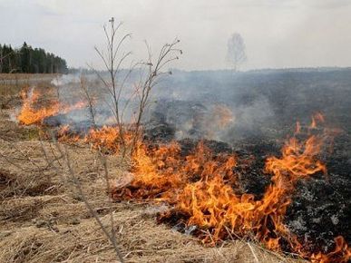 Голям пожар бушува край Благоевград, срещу квартал Струмско