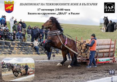 Когато земята трепери: Могъщите тежковози на България отново покоряват Разлог