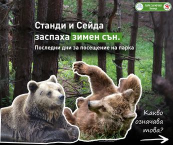 Паркът за мечки в Белица изпраща сезона с грижа и надежда: Станди и Сейда първи се подготвят за зимен сън