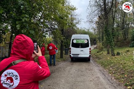 Мечокът Явор вече е у дома в Парк за мечки-Белица