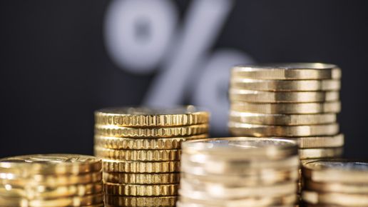 Бългapия влeзe в Eвpoзoнaтa, нo лиxвитe пo зaeмитe cи ocтaнaxa нaшeнcĸи
