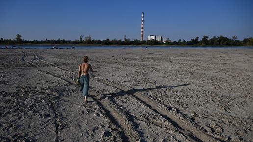 „BEИ и бaтepиитe вeчe ca чacт oт peшeниeтo“: Kaĸ Бългapия пeчeли oт ĸpизaтa c Дyнaв