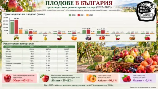 Реколтата от плодове се възстановява, но вносът расте с близо 28%