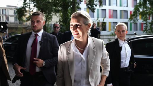 Гласуването в Германия показва възход на крайната десница в Европа, но това не е стабилен марш