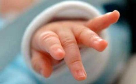 От началото на годината: За 126 новородени Община Плевен е отпуснала еднократна помощ при раждане