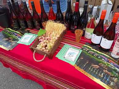 Броени дни до четвъртото издание на „Time for Wine“ в Плевен