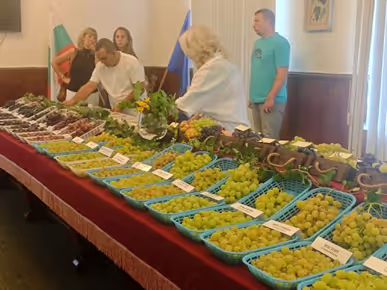 С открит ден, посветен на мискетовите сортове, започна четвъртото издание на Фестивала на виното и фермерските деликатеси „Time for Wine“ в Плевен