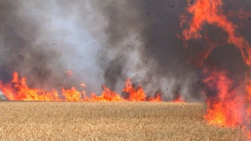 С високите температури започни и сезонът на пожарите. За какво да внимаваме и какво да не правим, за да не предизвикаме пламъци