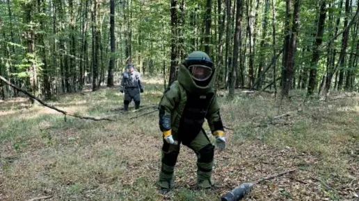 Военни откриха десетки невзривени боеприпаси след експлозиите в завод „ЕМКО“ край Трявна