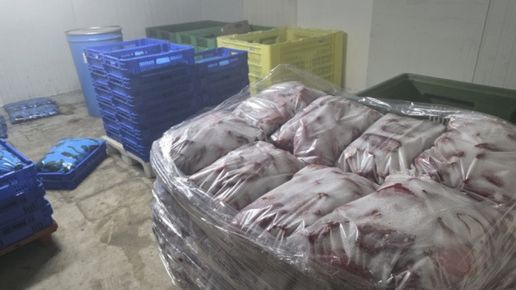 БАБХ затвори обект за консерви в Пловдив, унищожава над тон храни