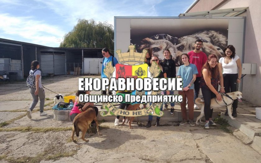 васил терзиев смени директора екоравновесие