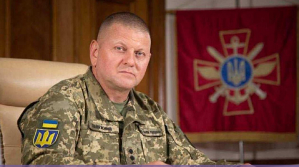 cnn зеленски обяви уволнението залужни дни