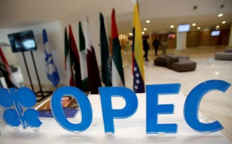 става страшно цените горивата предприемат русия страните опек