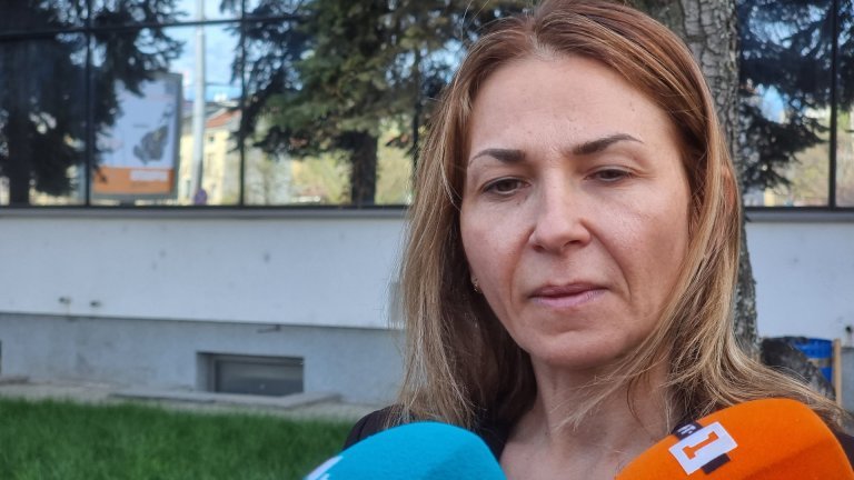 цели разследвали шефката митниците трафик мигранти