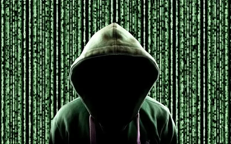 арестуваният хакер веселина томова ldquoафераrdquo сме цифрови другите аналогови