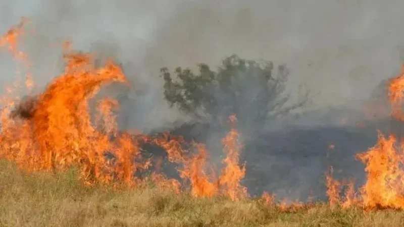 извънредно пожарът село воден причинен умишлено сателитни снимки доказват