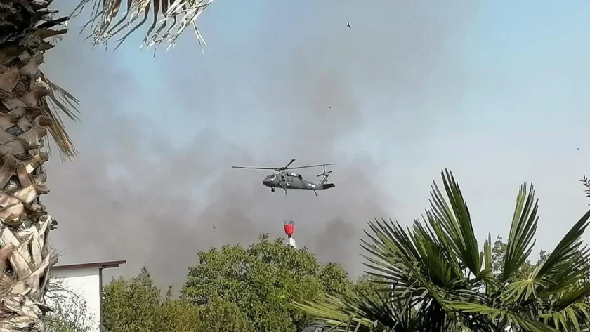 пожарът селата рогош скутаре потушен