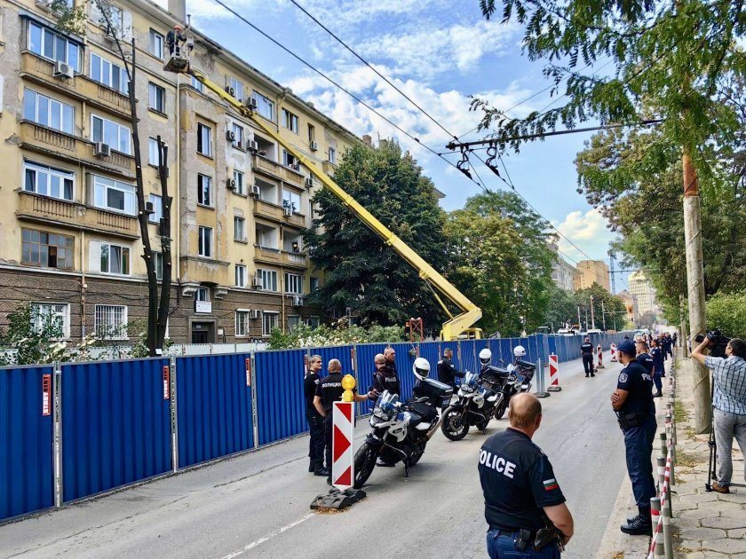 столицата рязането дървета опълченска започна снимки
