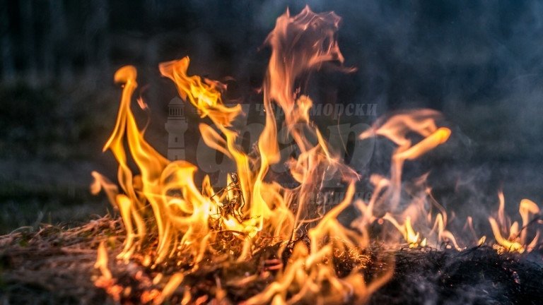 полицията задържа извършител умишлен палеж смолянско