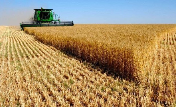 зърнопроизводителите опасяват рисковете земеделска продукция южна америка залее европа