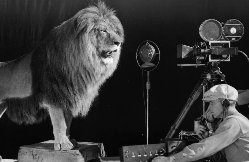 вижте лъва чийто рев озвучава логото филмите mgm 1928 видео