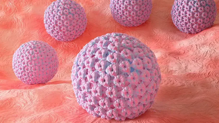следващата година безплатна ваксинация hpv момчета