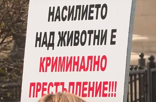 прокуратурата перник подробности разследването жестокост животни