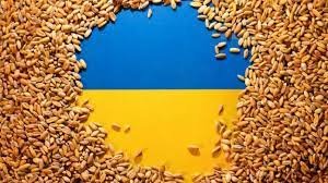 полша унгария словакия подчиниха едностранно забраниха внос украинско зърно