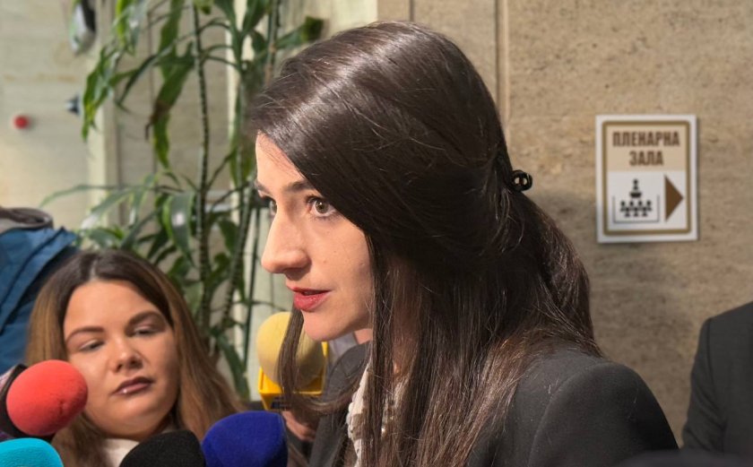 лена бориславова ясно стои протест видео