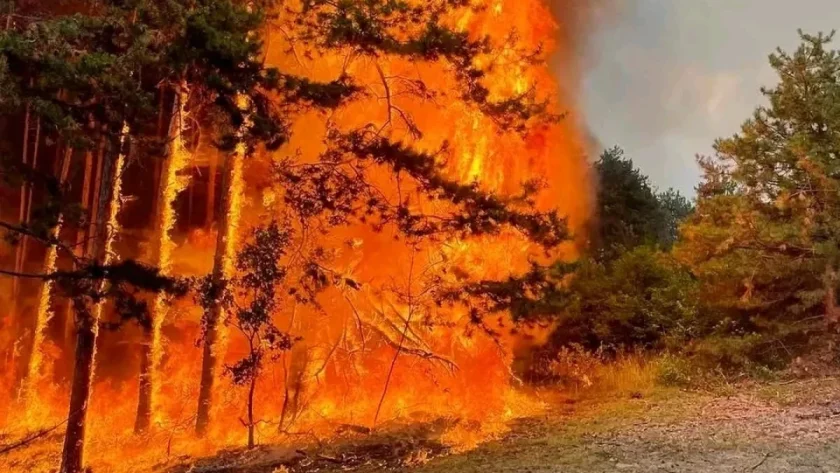 частично бедствено положение обявено хисаря заради пожар вилната зона село михилци