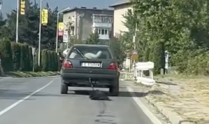 поредна проява жестокост животно куче вързано влачено кола банско шокира социалните мрежи видео