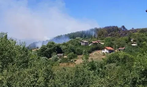 пожар района банкя