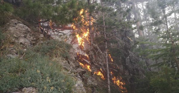 евакуираха пожарникарите илинденци заради опасен фронт