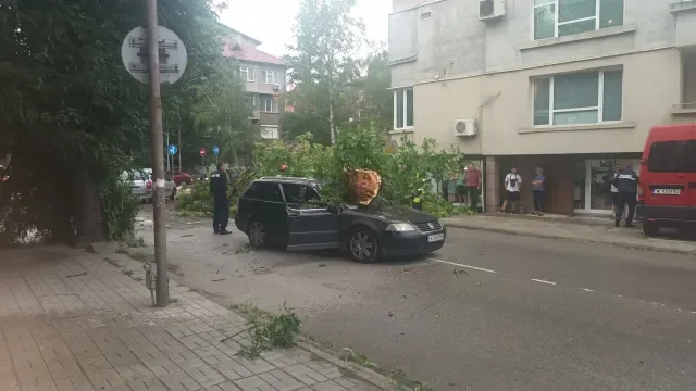 силна буря удари монтана паднали дървета блокираха улици снимки