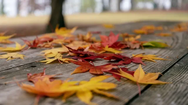 времето