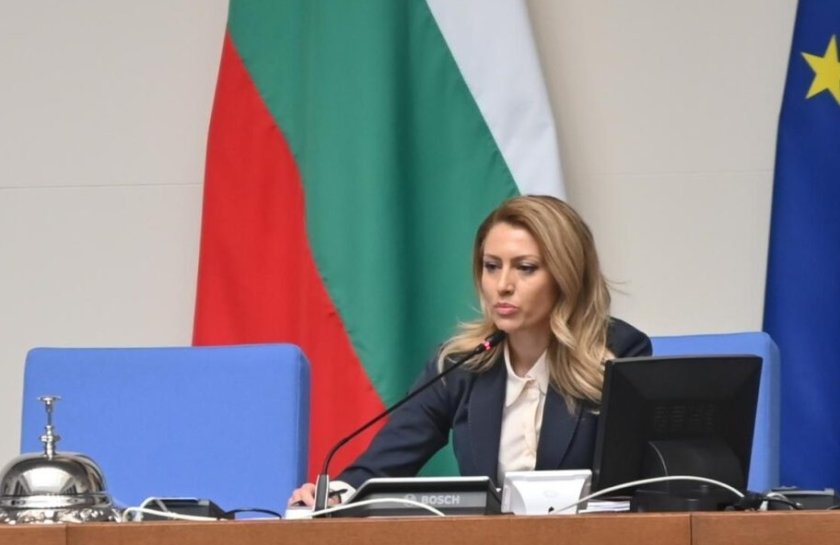 референдумът радев еврото влиза парламента bdquoразмразяванеldquo процедурата рая назарян