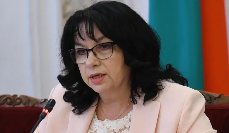 теменужка петкова разкритикува явно имат резерви борбата сивата икономика