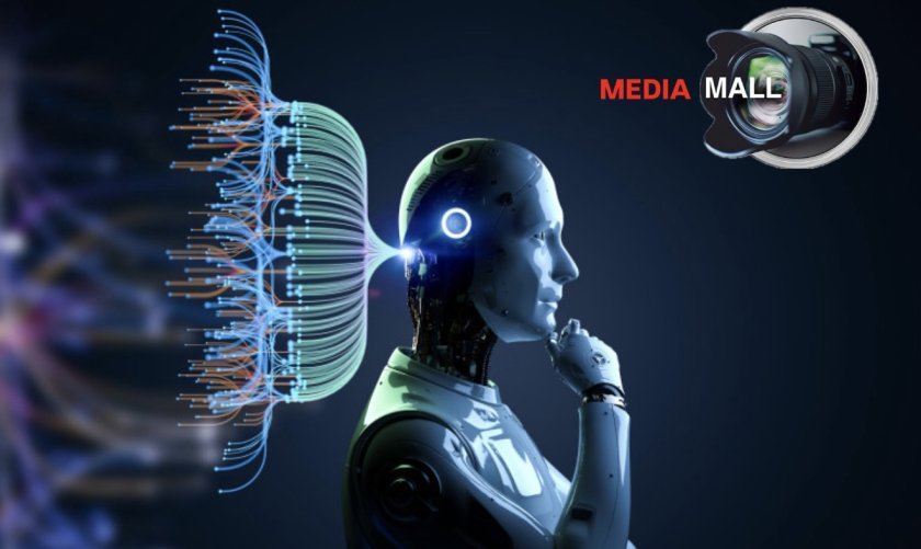 ексклузивно изкуствен интелект извини mediamall заради своята некомпетентност