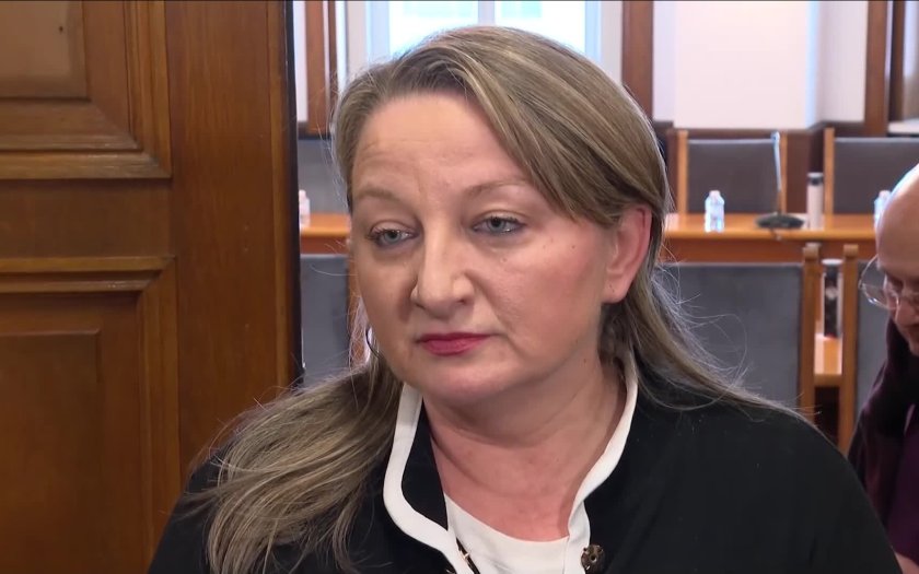 деница сачева герб бори радев ndash остави бори реалността видео